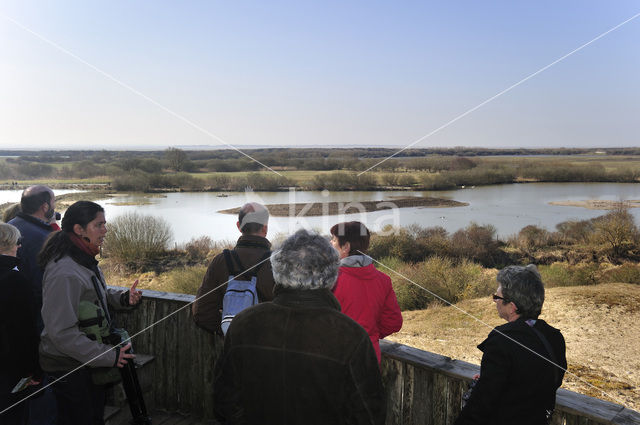 Réserve naturelle de la Baie de Somme