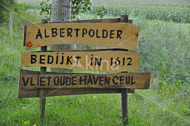 Albertpolder