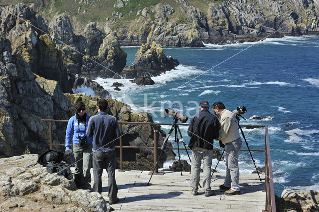 Cap de Sizun