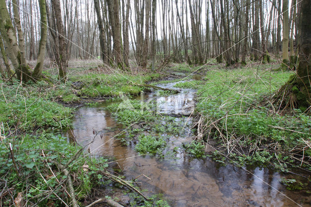 Dal van de Mosbeek