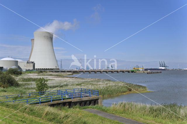 Doel nuclear powerplant
