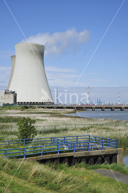 Doel nuclear powerplant