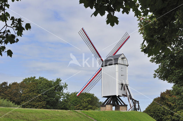 Molen Bonne Chiere