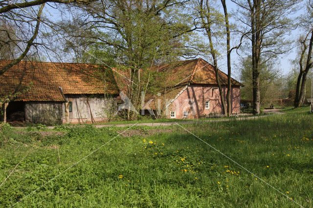 Molen van Frans