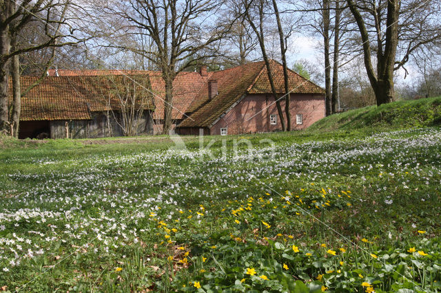 Molen van Frans