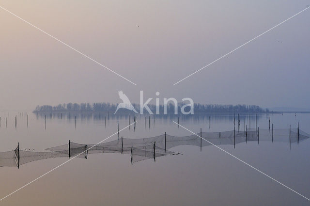 National Park Lauwersmeer