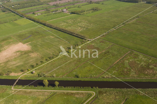 Natuurgebied Oude Riet