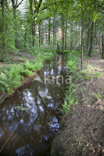 North Brabant