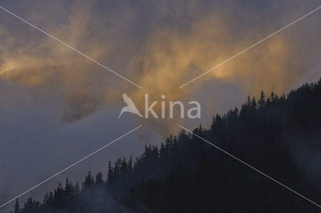 Vanoise National Park