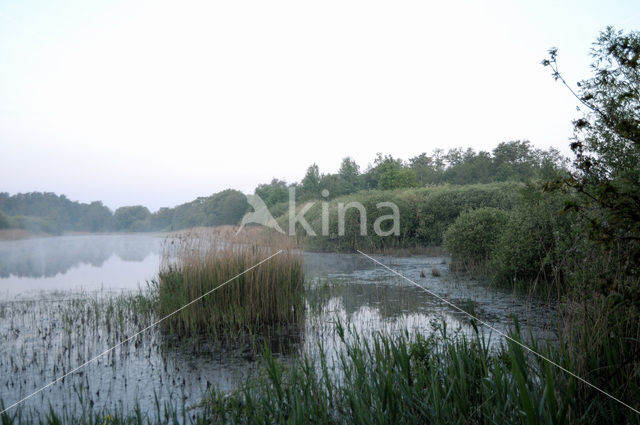 Sarsven en De Banen