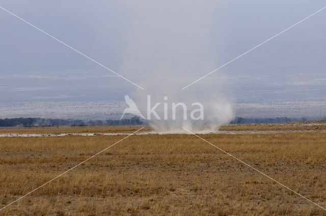 Amboseli National Park