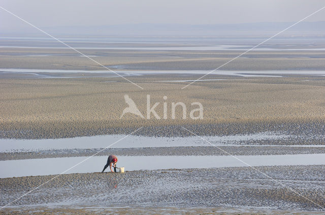 Bay of the Somme