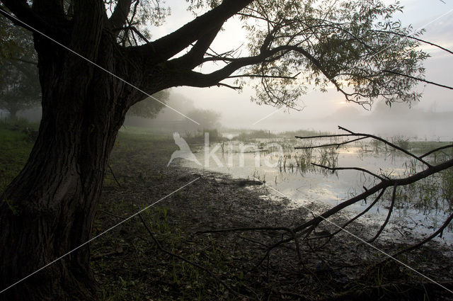 Biebrza National Park