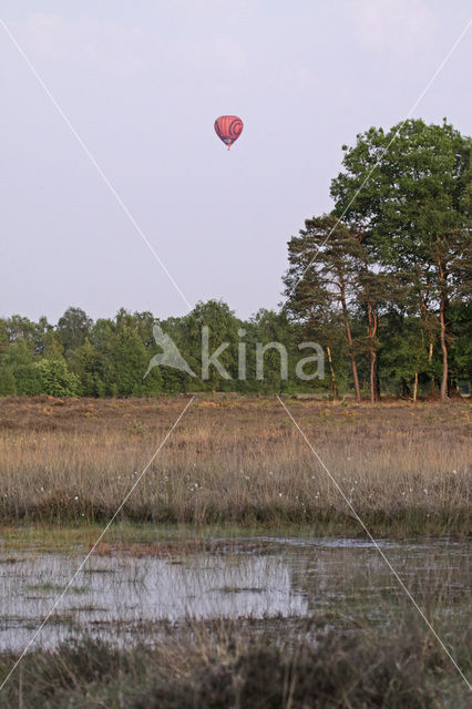 Buurserzand