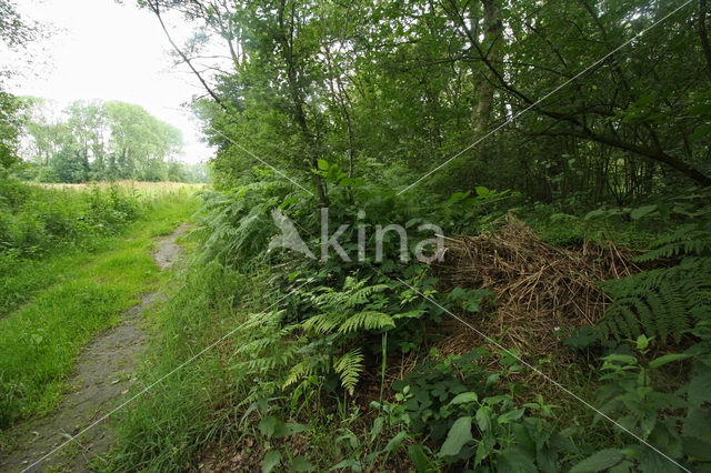 De Mortelen en Heerenbeek