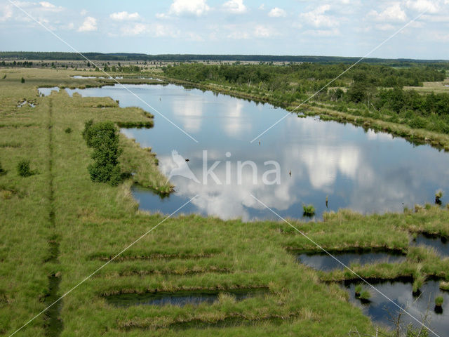 Fochteloërveen