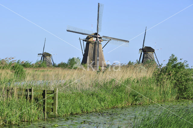Windmills
