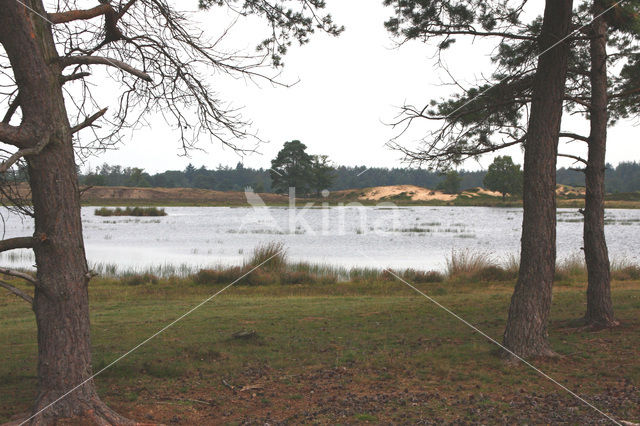 National Park Drents-Friese Wold