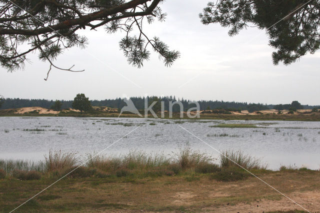 National Park Drents-Friese Wold