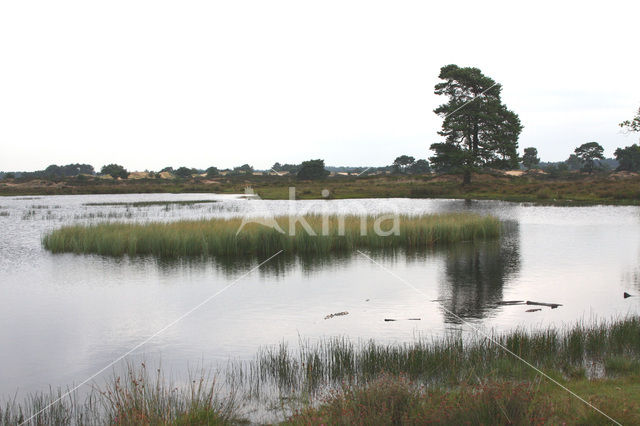 National Park Drents-Friese Wold