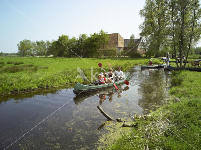 Rottige Meente