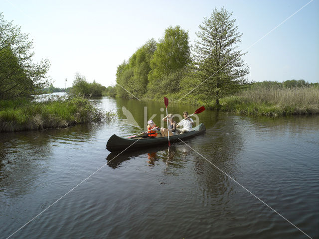 Rottige Meente