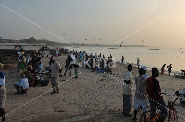 Senegal