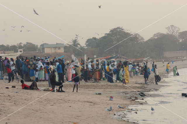 Senegal