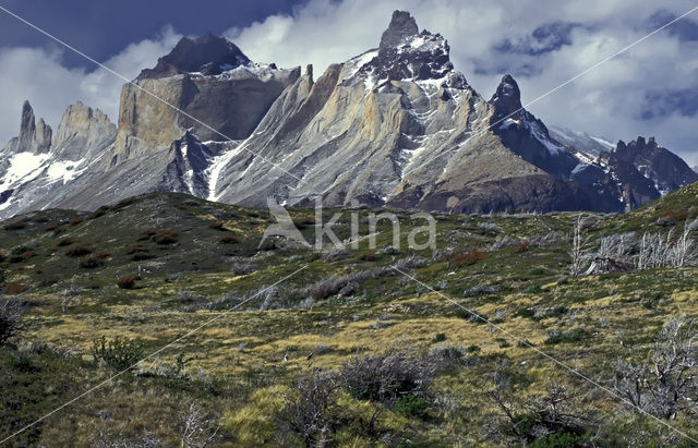 Torres del Paine National Park