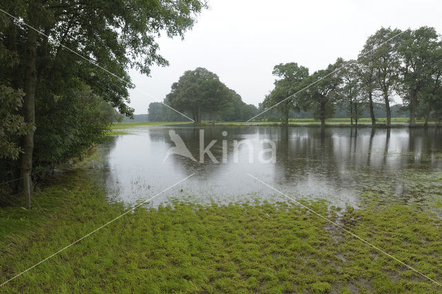 Groote Lutterveld