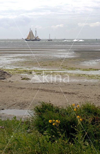 Het Groene Strand