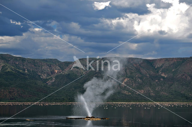 Lake Bogoria National Reserve