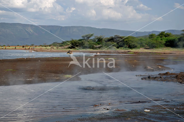 Lake Bogoria National Reserve