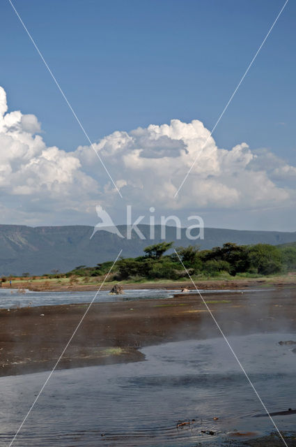 Lake Bogoria National Reserve