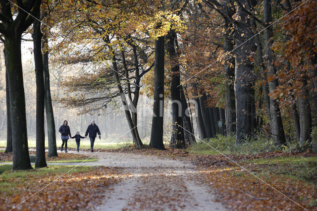 Landgoed Singraven