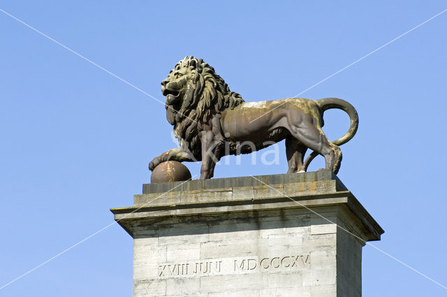 Butte du Lion