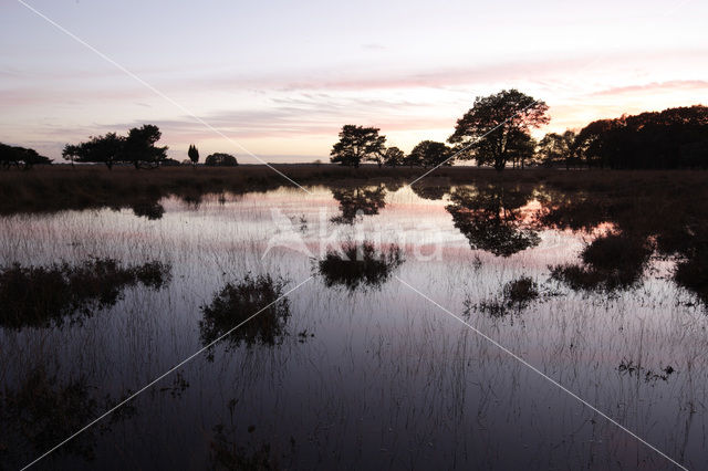 Nationaal Park Dwingelderveld