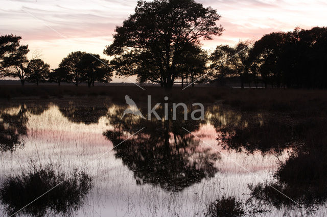 Nationaal Park Dwingelderveld