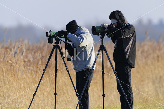 Nationaal Park Lauwersmeer