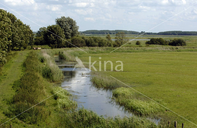 Nationaal Park Lauwersmeer