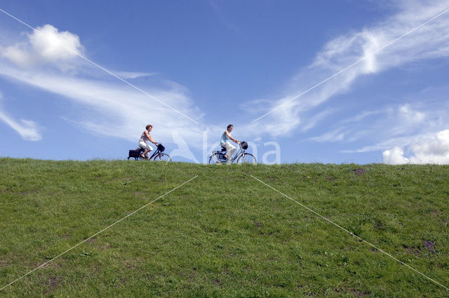 Nationaal Park Lauwersmeer