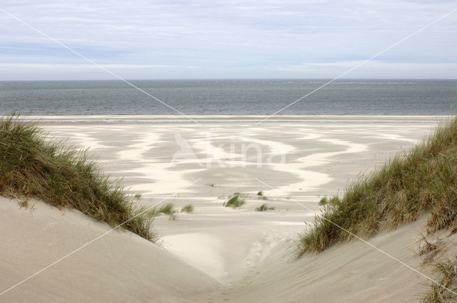 Noordzee