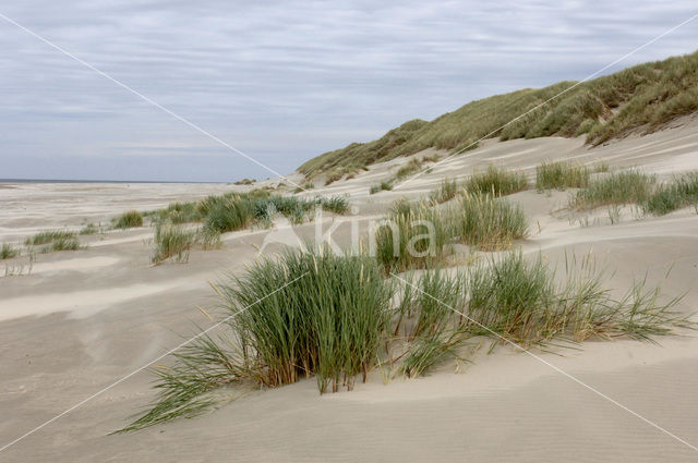 Noordzee