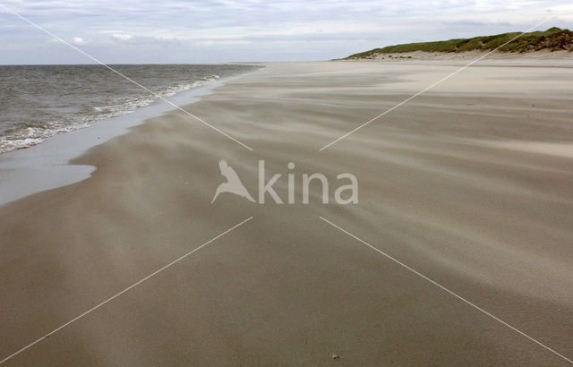 Noordzee