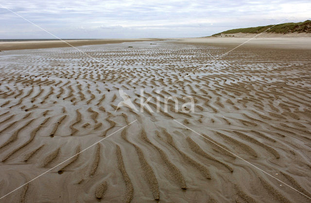 Northsea beach