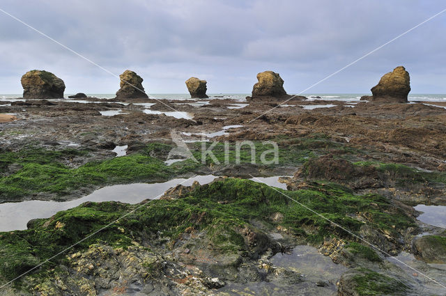 Plage des Cinq Pineaux