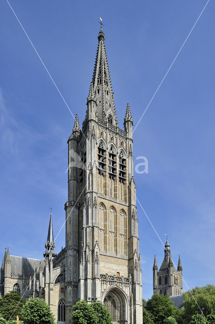 Saint Martin’s Cathedral