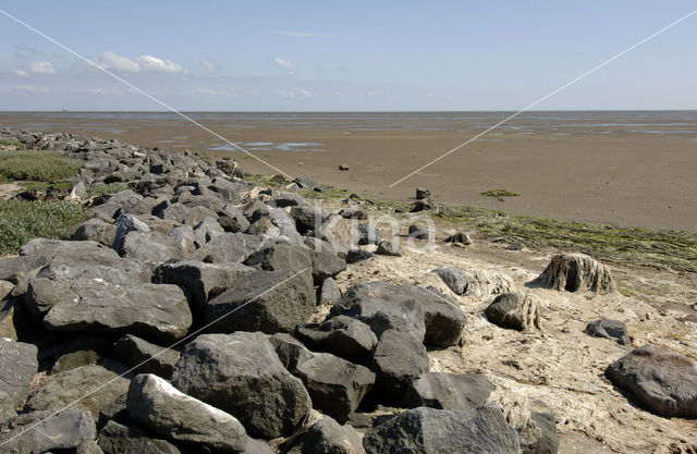 Terschelling