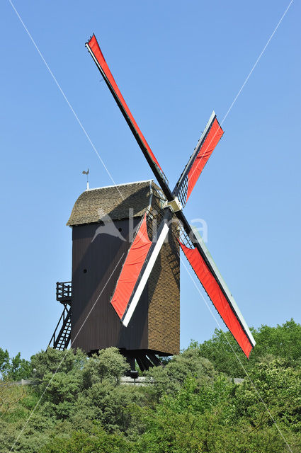 Zuid-Abdijmolen