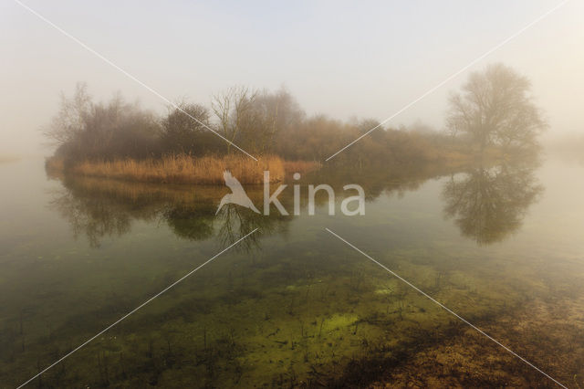 Amsterdamse waterleidingduinen